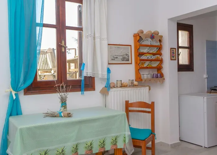 公寓 Naxos Center Studios-house Naxos City