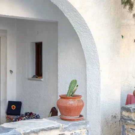 Naxos Center Studios-house Daire *
